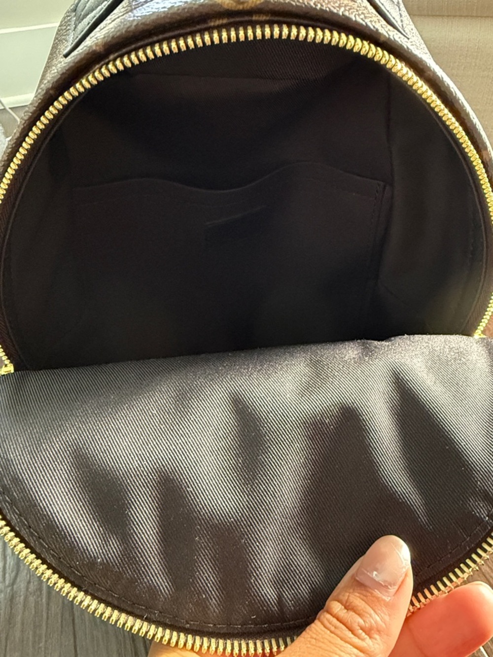 Louis Vuitton Monogram PM Backpack in Brown with Black Straps - Picture 4 of 6